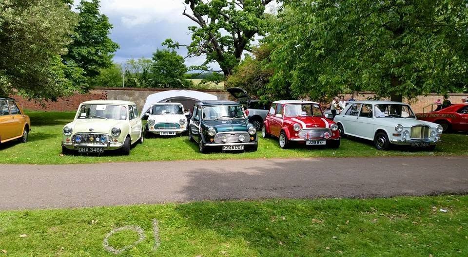 A line-up of Minis at a club display