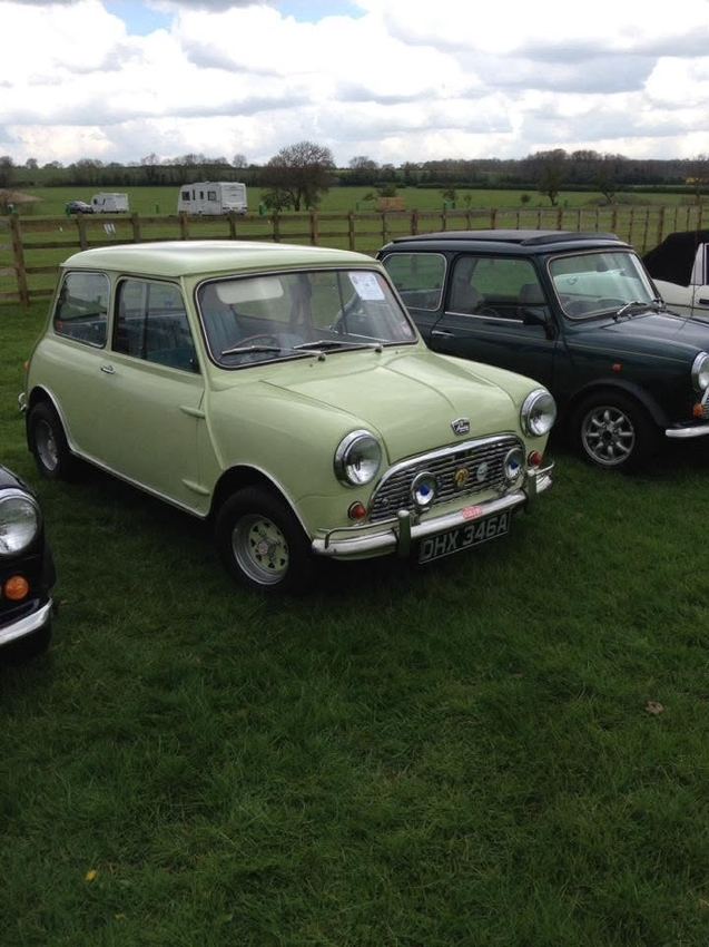 Cream classic Mini